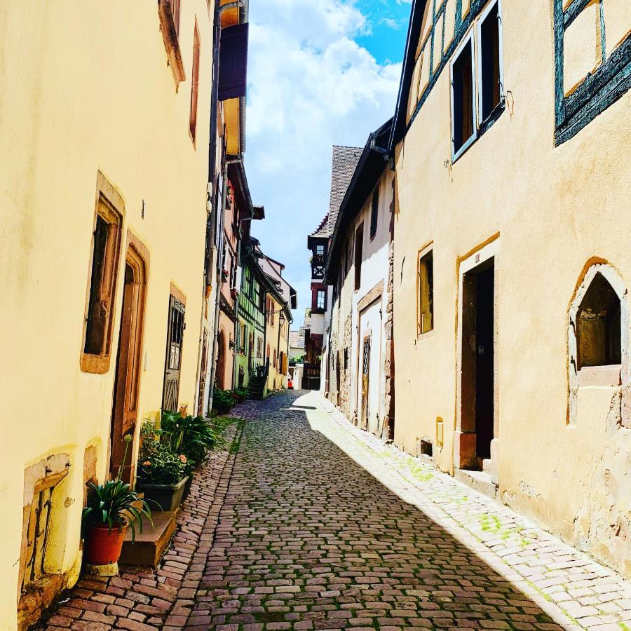 La Ruelle Alsacienne, Charme Alsacien Et Confort Moderne Riquewihr Kültér fotó